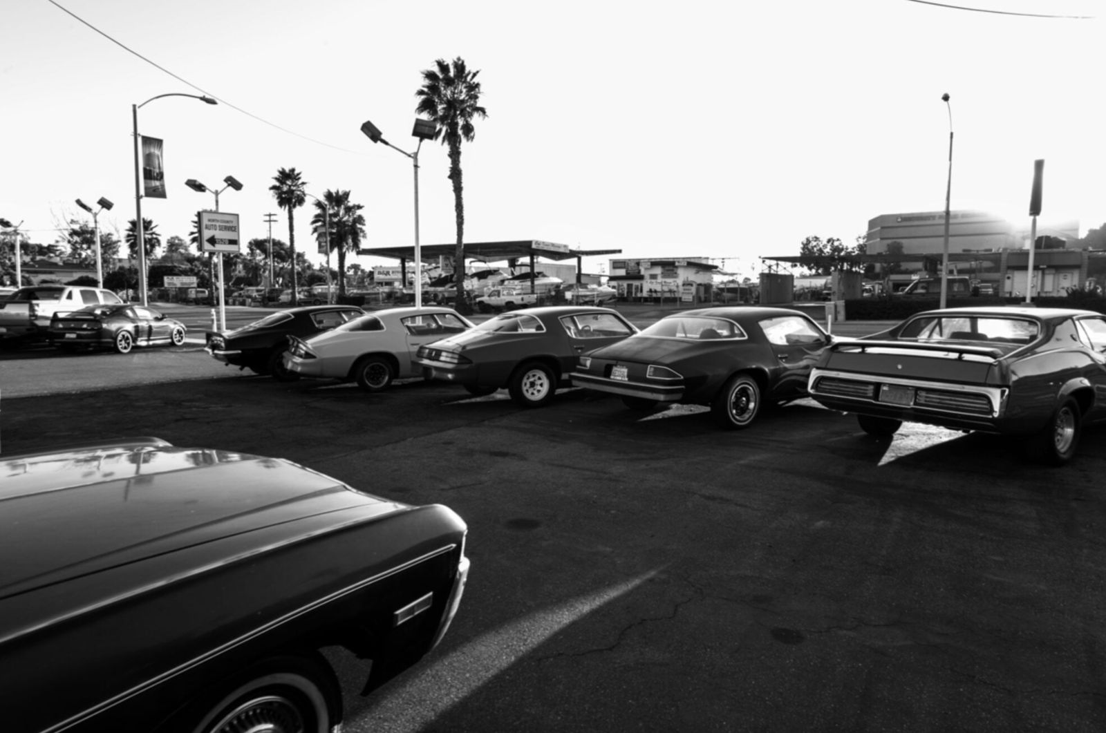 Vintage cars in black and white